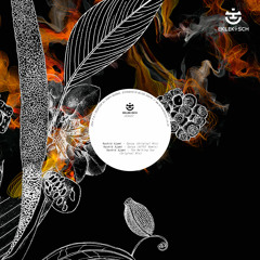 Rashid Ajami - The Melting Sun (Original Mix) SNIPPET