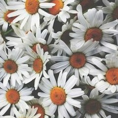 All In My Head - Cover by Cathy Nicole( Tori Kelly )