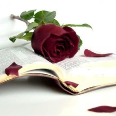 Mona Rosa - Sezai Karakoc