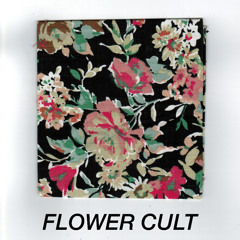 The Cameras Are Rolling The Blinds Are Off