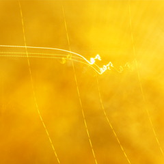 Hypnotised (Live@JamCafe)