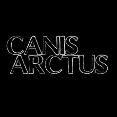 Wizards and Warriors