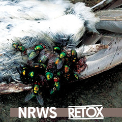 NARROWS "Ride The Lion"