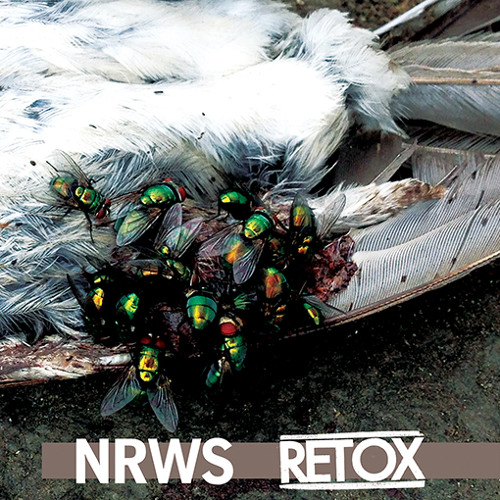 NARROWS "Ride The Lion"