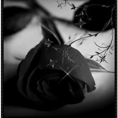 علشان الشوك اللي في الورد