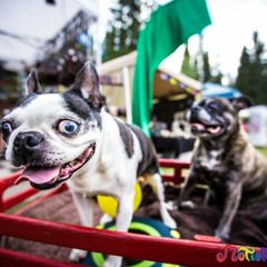 Festival Funk - live @ Motion Notion