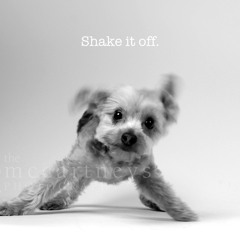 Taylor Swift - Shake it Off - Vince Romanelli