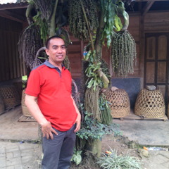 Bgs BULU ALAUNA TEMPE -ujehurja