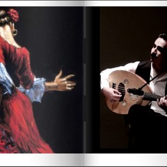 Flamenco - Bulerias & Oud Cover (by Ersin Ersavas)