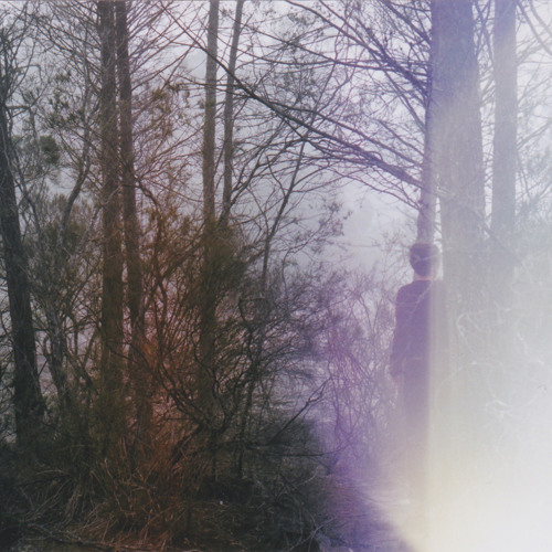 Old Pines - Lover's Side