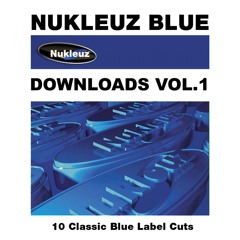 The 49ers - I Got The Music (BK & Dbm Mix) [Nukleuz Records]