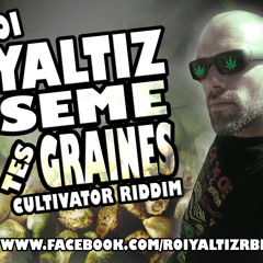 ROI YALTIZ - Sème tes graines - CULTIVATOR RIDDIM