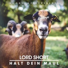 Halt Dein Maul (Prod. by Rugged Dom)