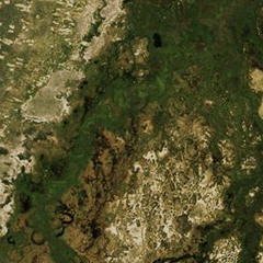 Okavango Shift