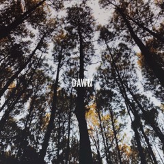 Dawn ft. Fauzan Baihaqi
