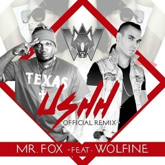 Ushhh - Mr fox Ft. Wolfine ( Remix Dj Kamy Salas ).mp3