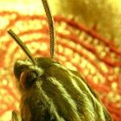 I dont Ever Want to See you Again (Full Band Version)