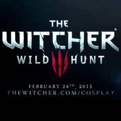 The Witcher 3 - Sorceress of Vengerberg