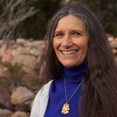 Sandra Ingerman and Hank Wesselman - Shamanic Journeying