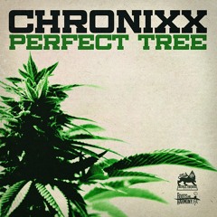 Chronixx - Perfect Tree