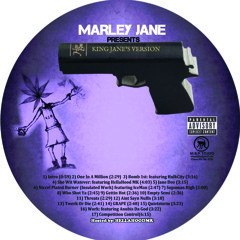 6) Niccel Plated Burner (Insulated Work) Featuring IceMan