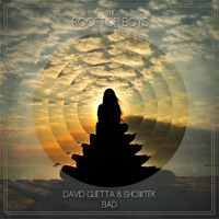 David Guetta & Showtek - Bad (The Rooftop Boys Remix)