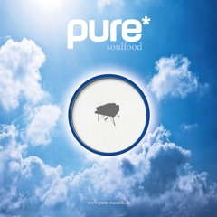 RICO PUESTEL - 10 // pure* records FREE DOWNLOAD