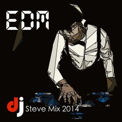 Djk Thailand (Steve) Mix EDM 2014:8