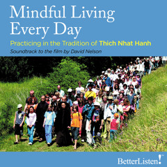 Mindful Living Every Day Practicing in the Tradition of Thich Nhat Hanh- Preview 1