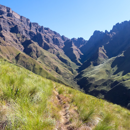 Drakensberg Mix