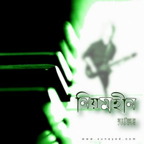 পানির তলের পক্ষী (panir toler pokkhi)