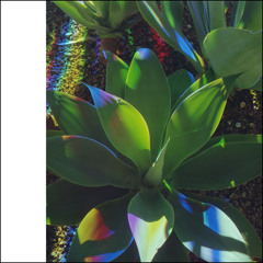 02 Marina Rosenfeld "Untitled Music For Plants"