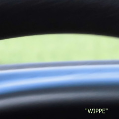 Dizzy Disco - Wippe