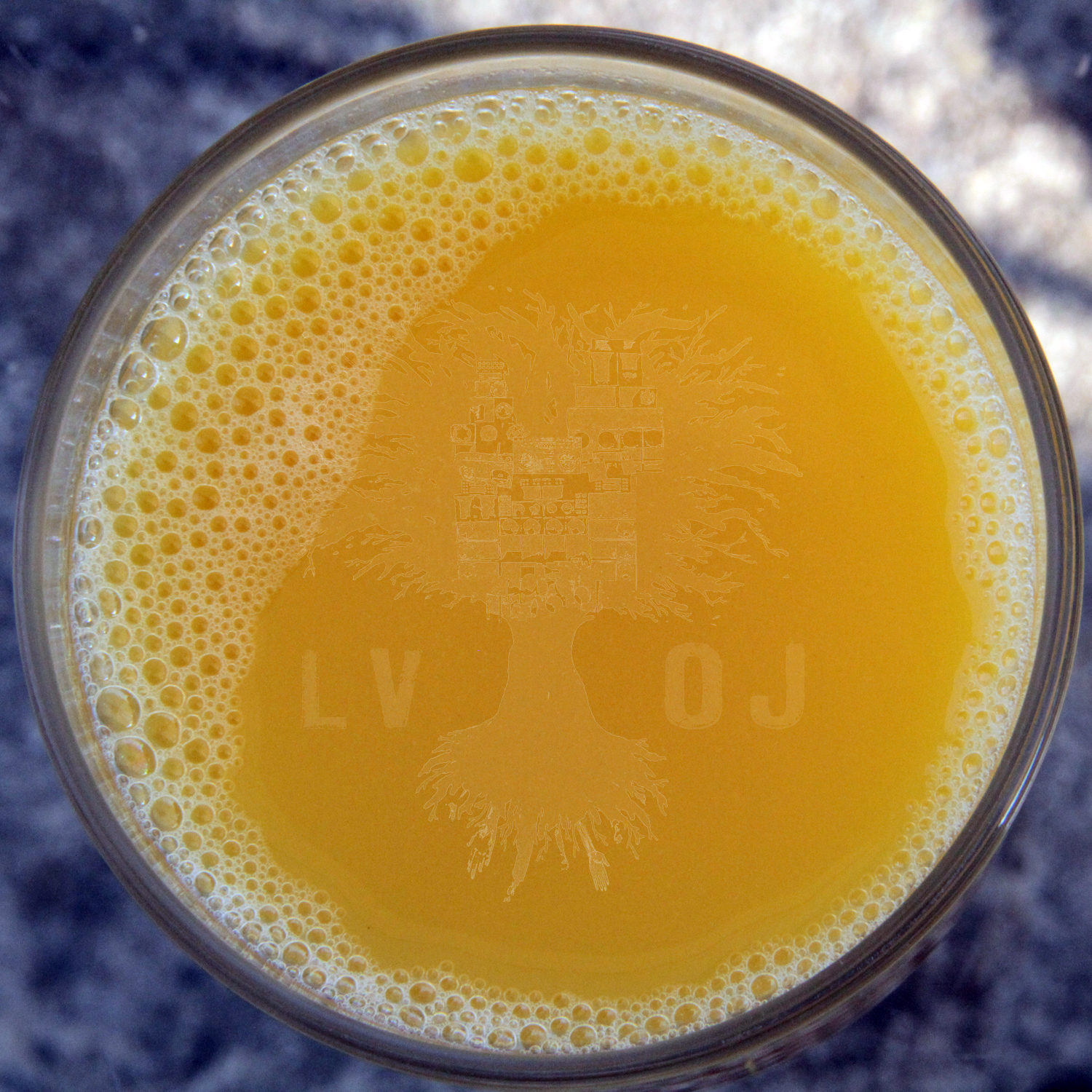 LV - OJ (Roots & Branches Remix) [Thizzler.com]