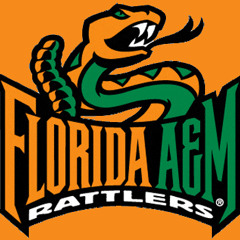 FAMU MIXTAPE