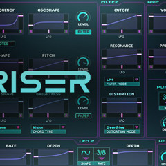 The Riser