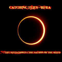 Catching Flies / Rí Rá - Life Sized Ghosts (The Salmon Of The Skies)