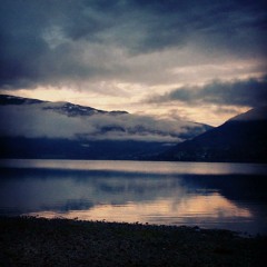 ich bin nicht charlie haden