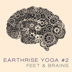 IDEA Conference Wrap-Up: Feet & Brains