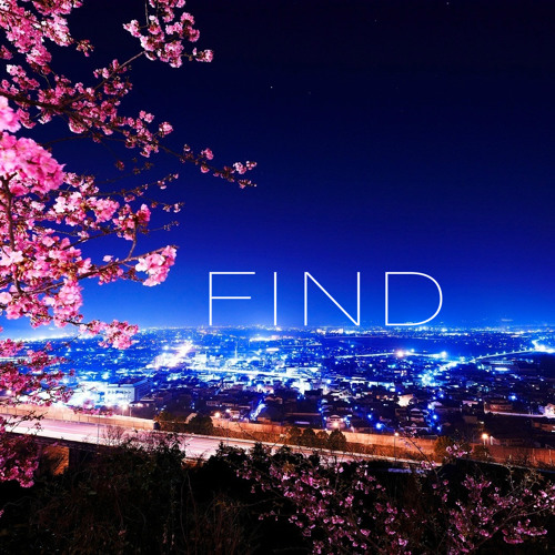 ⎰FIND⎱