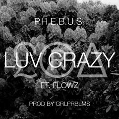 Luv Crazy Ft. Flowz (Prod By GRLPRBLMS)