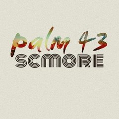 P.A.L.M. 43