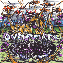 Shephards Delight (AZA remix)