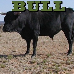 BULL - Bull blues