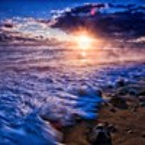 New Shores