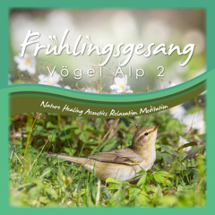 Frühjahrskonzert Vögel Alp 2 Naturgeräusche Nature Sounds Meditation Relaxation healing acoustics