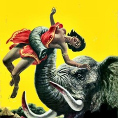 Sandro Brugnolini - Alipid