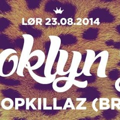 Brooklyn ZooCph In Mix 23.08.2014