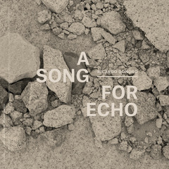 Ricardo Donoso - A Song For Echo - 02 A Song For Echo Part II