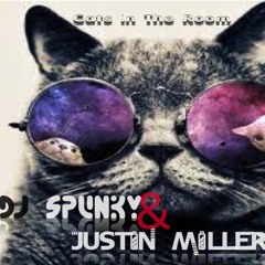 Dj Spunky & Justin Miller - Cats In The Room